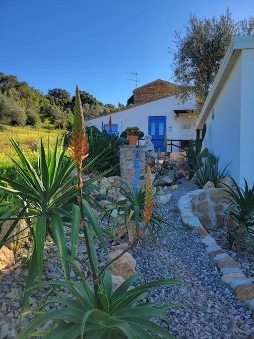 Appartamento Origano Acquedolci Bagian luar foto