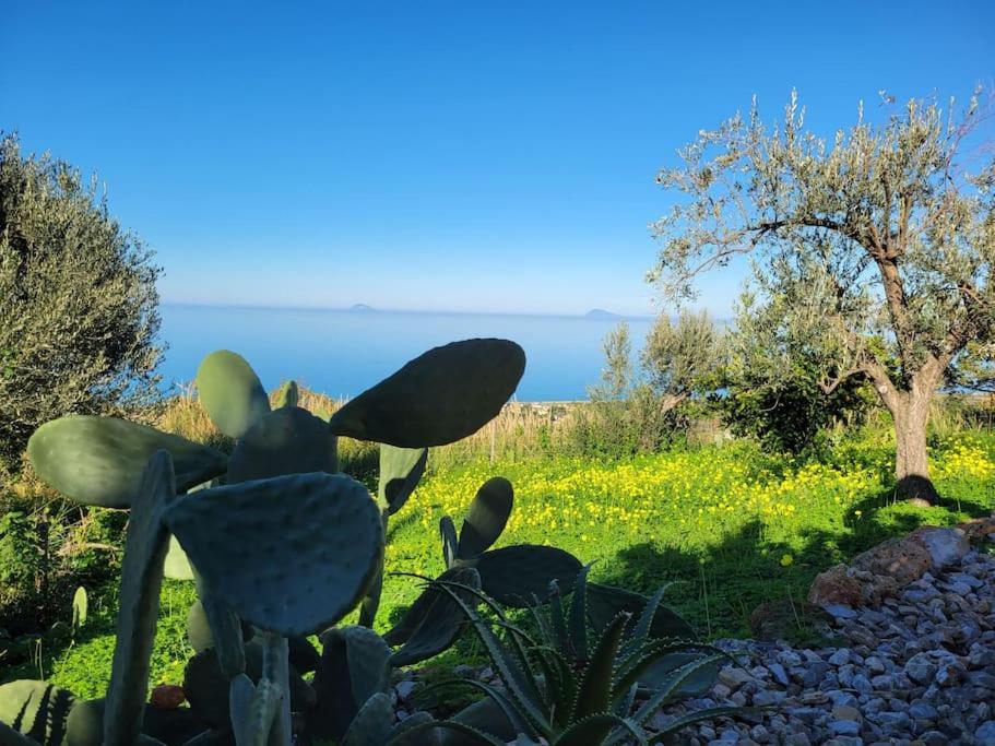 Appartamento Origano Acquedolci Bagian luar foto